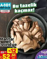 MANTAR İSTİRİDYE ADET